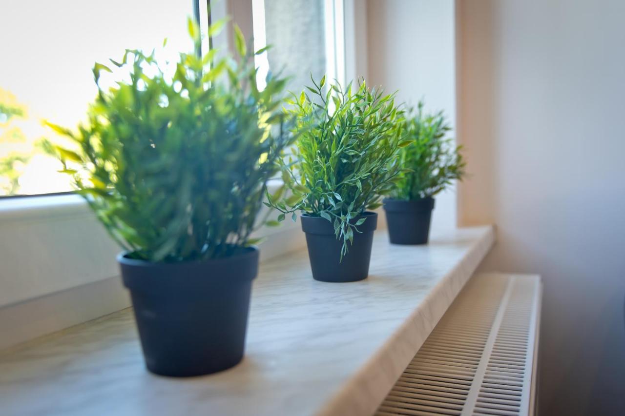 Apartament Kalinka نيسة المظهر الخارجي الصورة